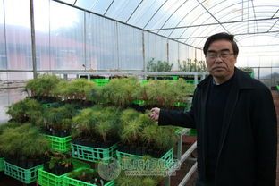 点击进入看图评论