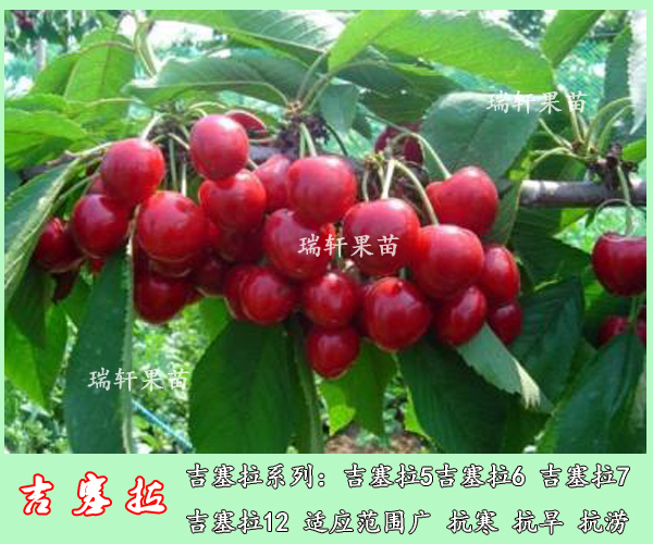 857547d5053642e5a99edf39a449cec6.jpeg