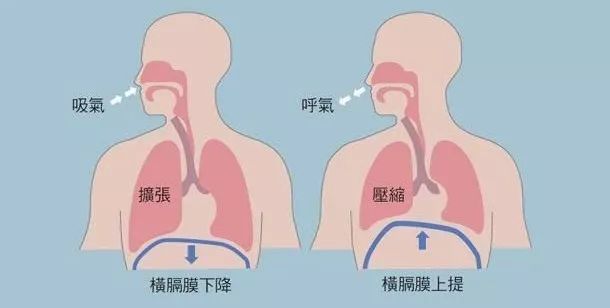 动静皆宜的宅家不废锦囊从改变呼吸开始