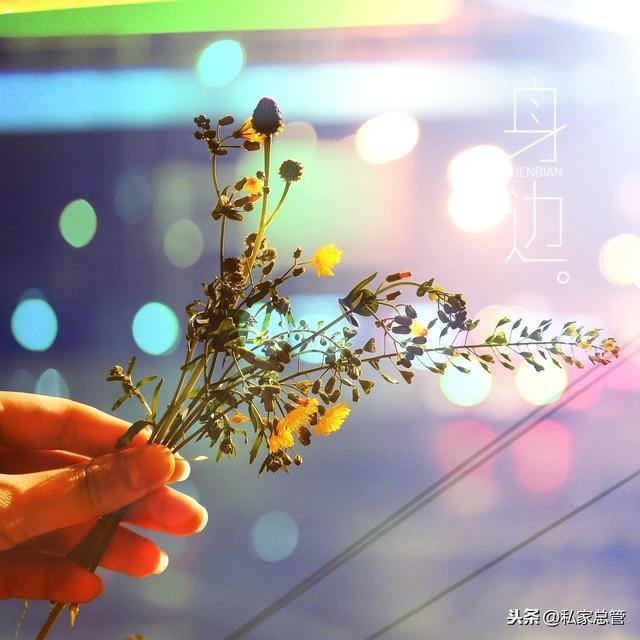 色衰什么弛成语_成语故事简笔画(2)
