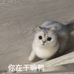 b85aff77f31b49448f9c87b293f78cc1.gif
