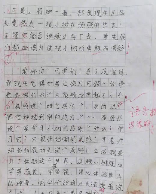 错怪简谱_儿歌简谱