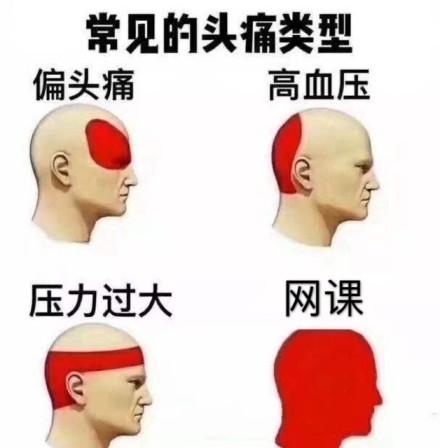 关于网课的斗图表情包合集｜同学们开始上网课了