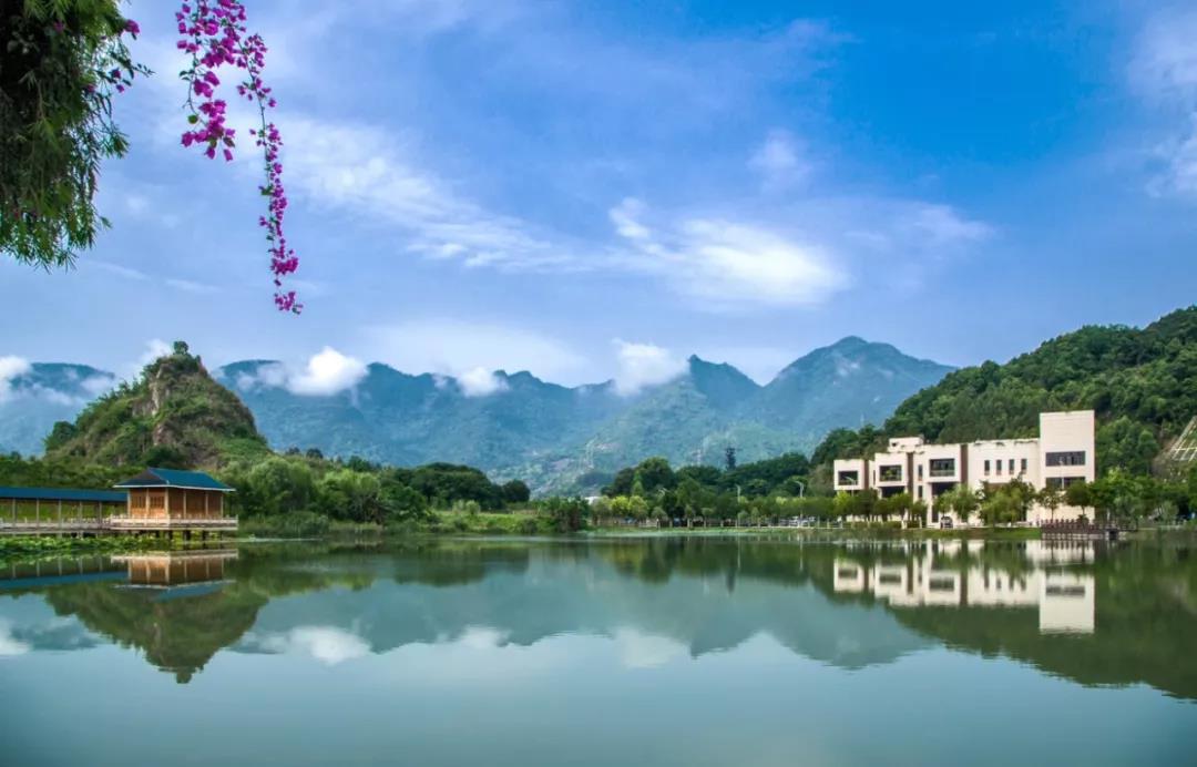 福州大学排名2020最_福建“最好的”三所大学排名,福大仅排第(2)