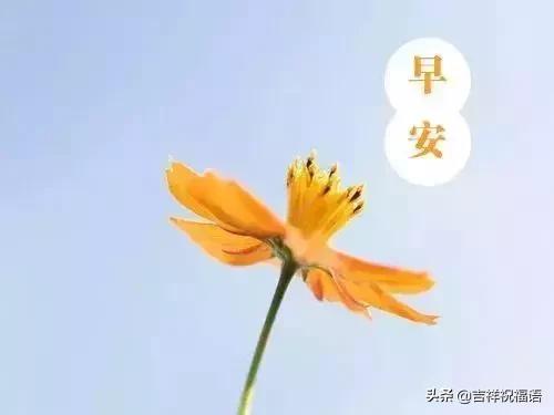 早晨发朋友圈特别漂亮早上好祝福动态图片大全