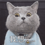 男女暧昧表情包没什么事就是有点想你了