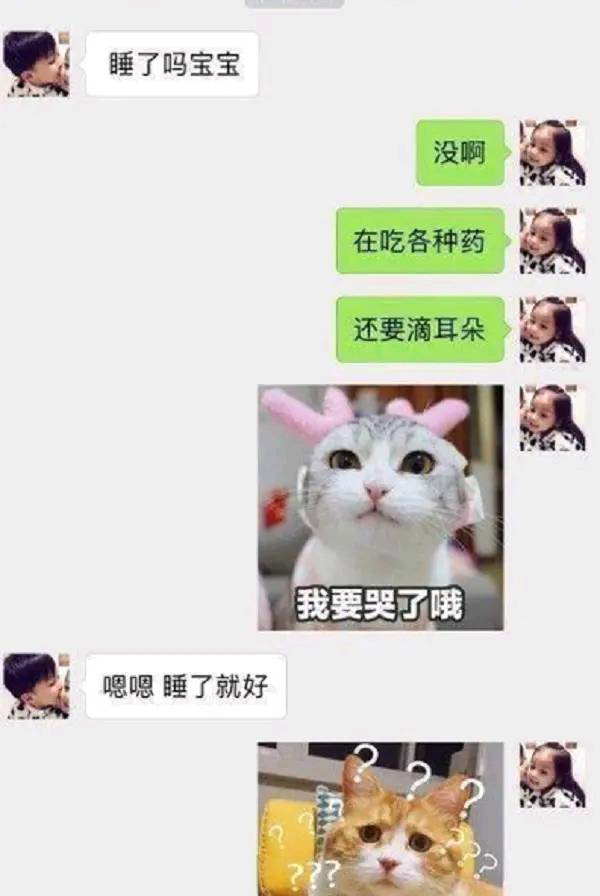 求生欲满满的猫 2b3cb6d4e0e24a97b8f4ea18bc7cc36c.jpeg