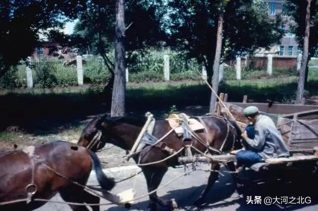 那时候的马拉车,仍然是很多西部农村地区的主要运输工具之一.