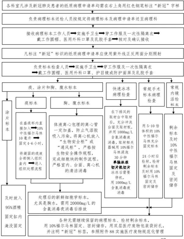 part11,病理标本检查感染防控流程 82 病理科标本检查感染防控流程