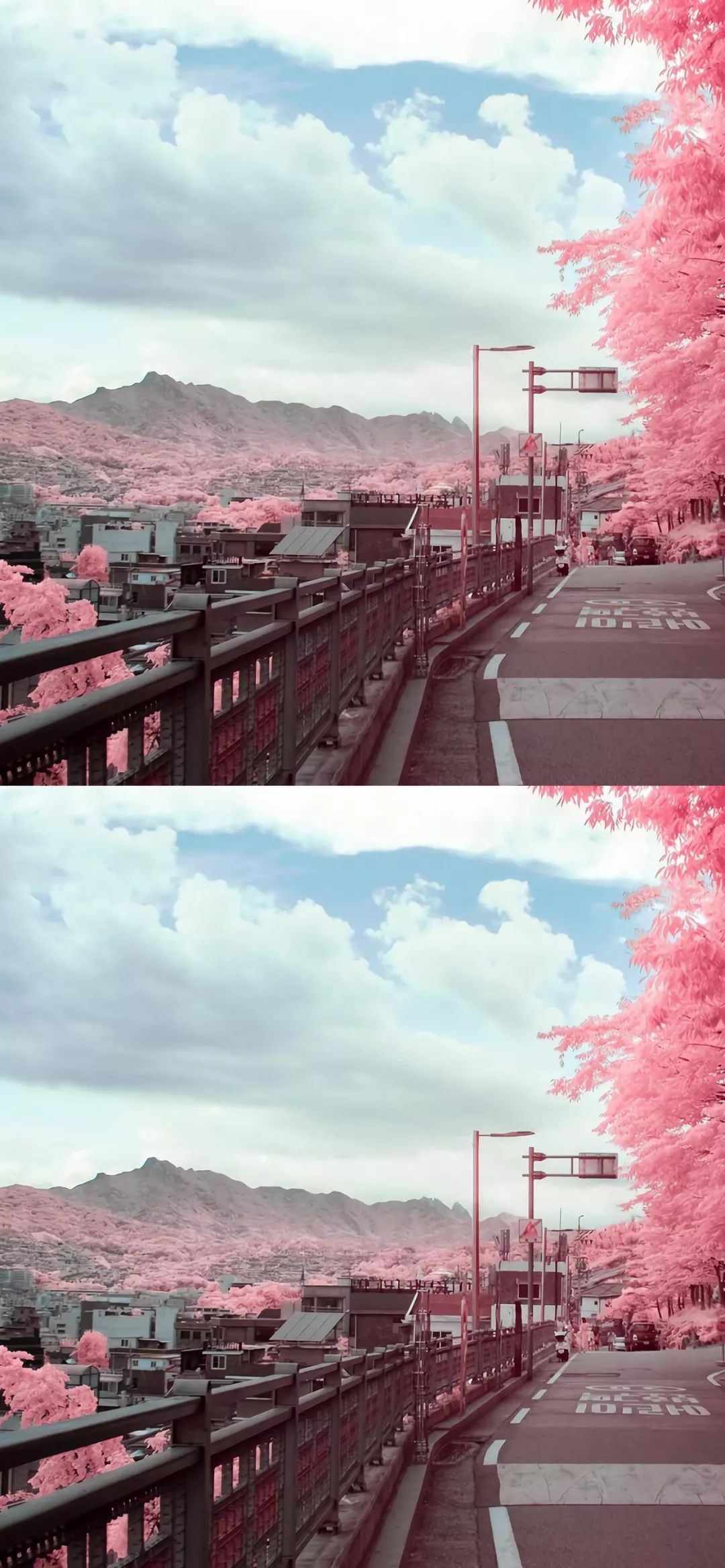 抖音热门精选高清全面屏风景壁纸