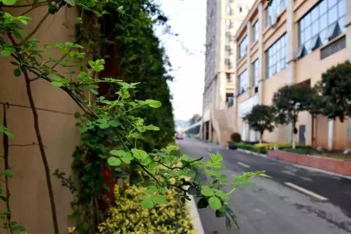 文章配图-3