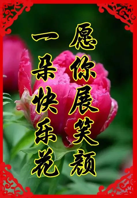 立春曲谱_蒋雯丽立春图片(3)