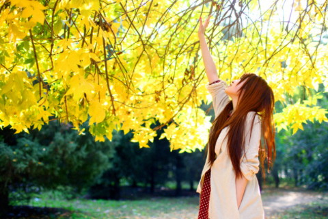 5d73f57a6d104c7cbfbf2afb21da0912.jpeg