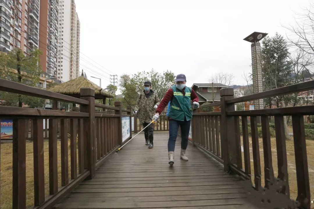 锦屏人口_锦屏藤(2)