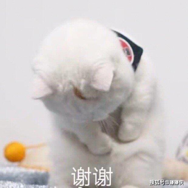 62bef184b9304e19a9cf1e830392ad38.jpeg