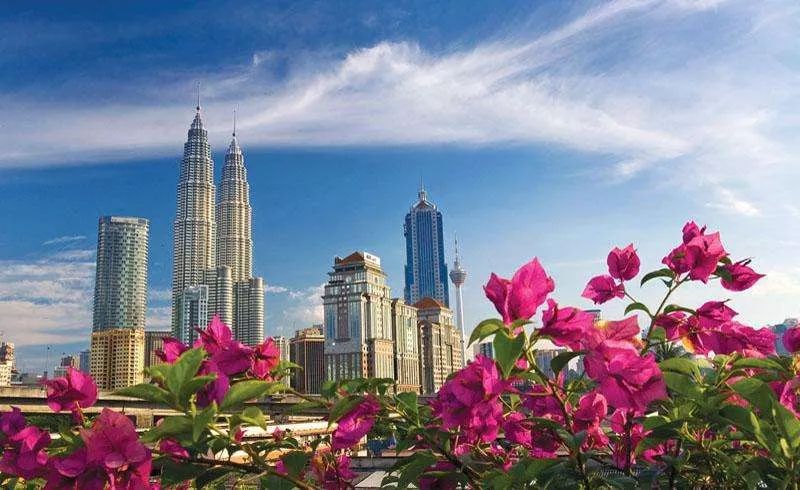 迷之操作!马来西亚扩大禁令,浙江江苏护照禁入