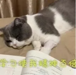 721b90a88a2a4a21a836c286e7a612be.png