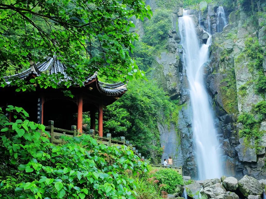 致敬全国医护人员!待到"春暖花开时",奉化溪口雪窦山景区邀您免费游