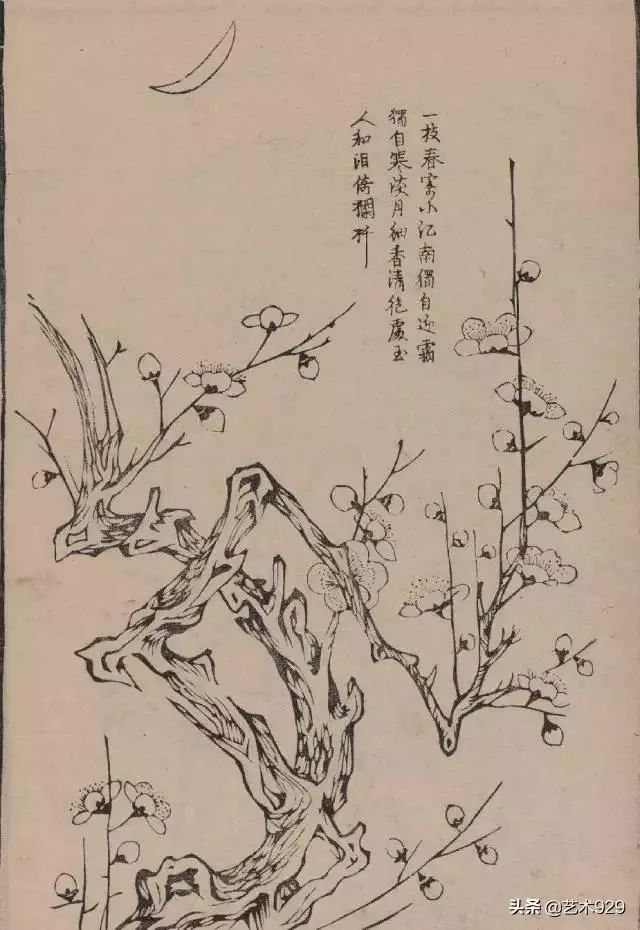 明代《梅花画谱,收藏学习