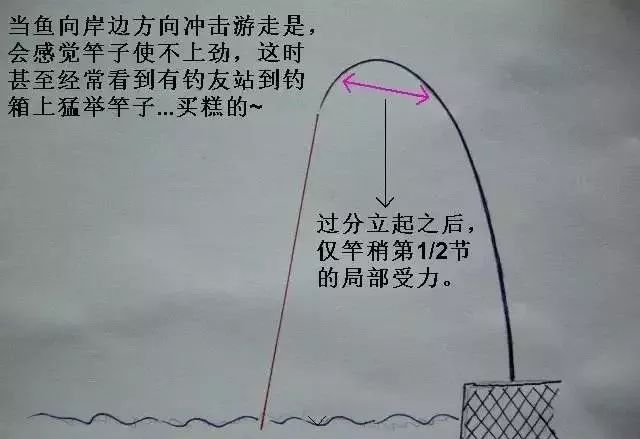 什么是抄网竿 7d55b8651f5a428f8932e2776fbc0a41.jpeg