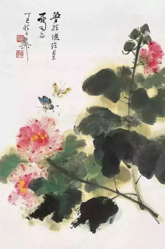 大师笔下芙蓉花,似美人初醉