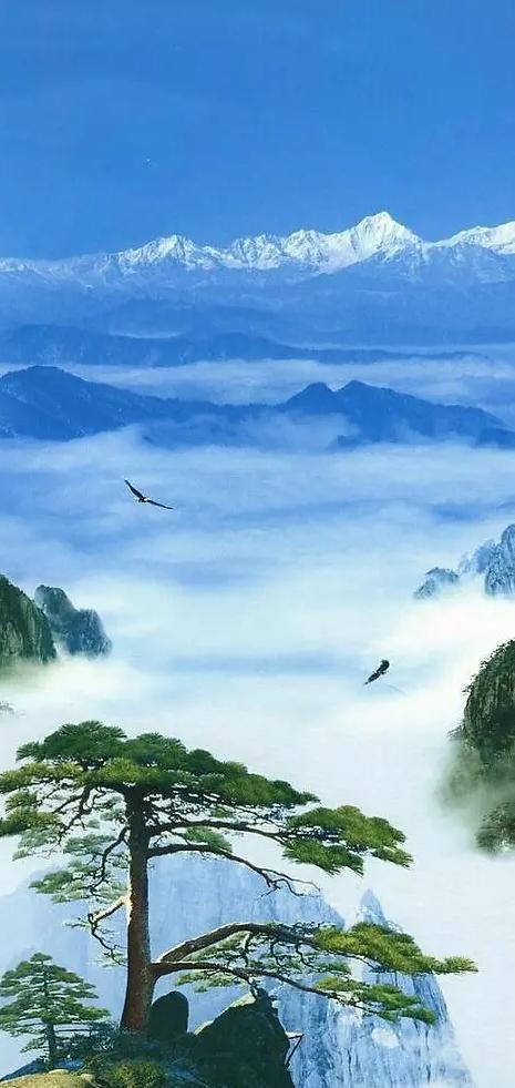 人间美景,好看的手机桌面及锁屏壁纸,值得收藏