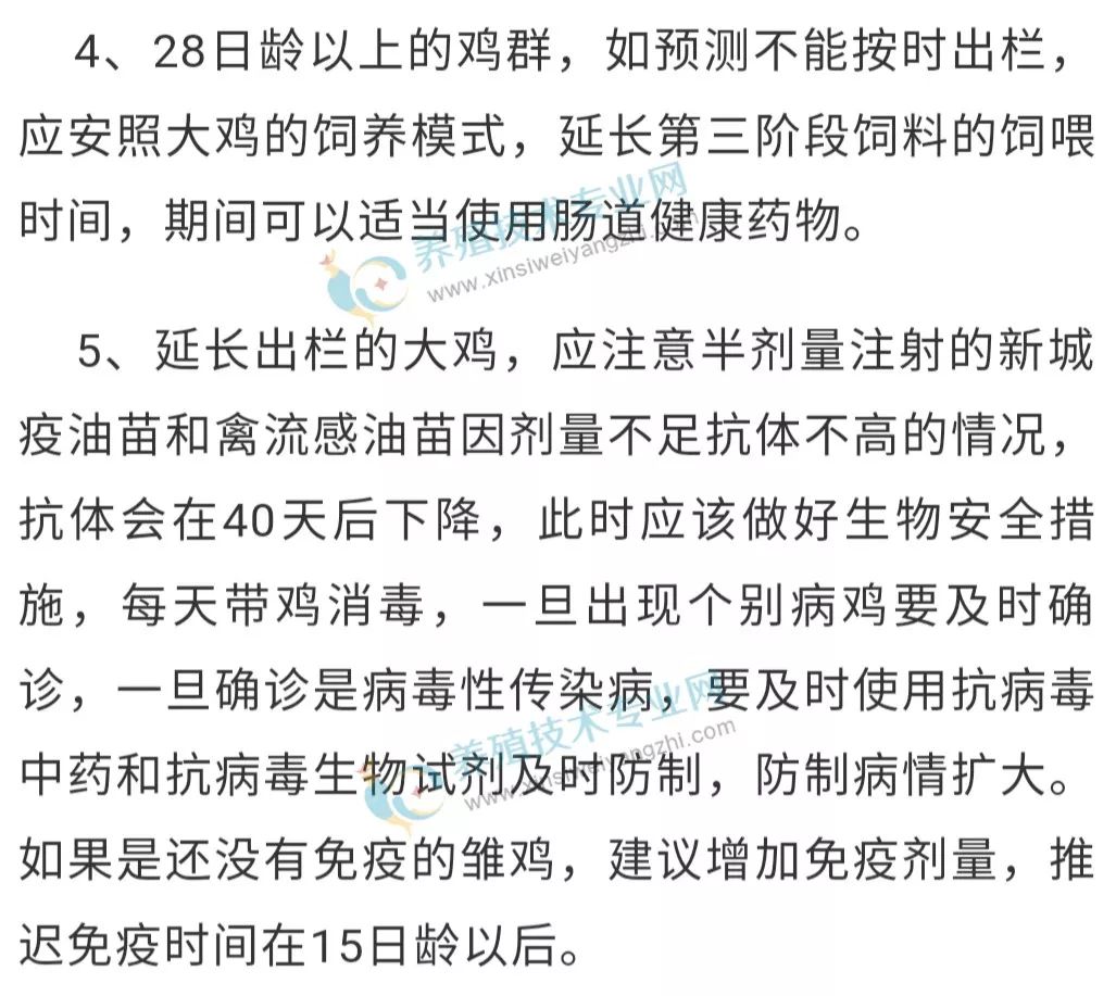肉鸡的生长速度不会随采食量增加而提高,根据不同品种的饲养手册数据