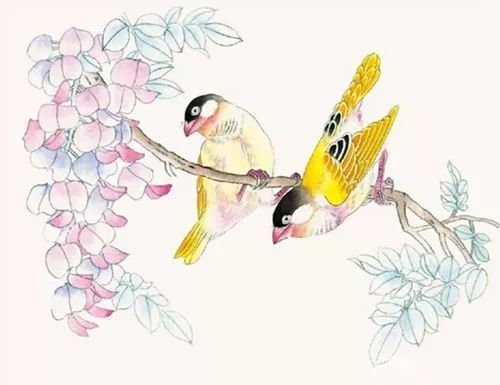 工笔画 金丝雀 画法步骤图