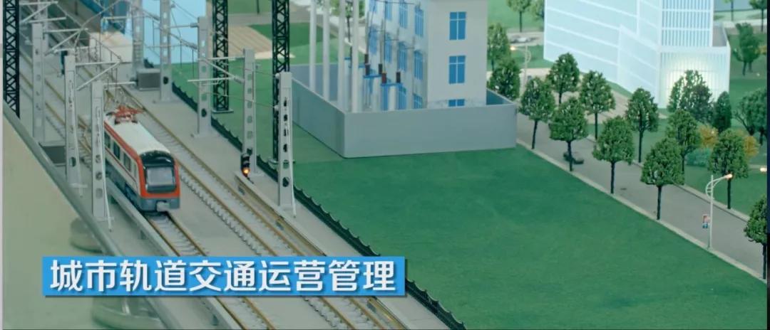 文章配图-19