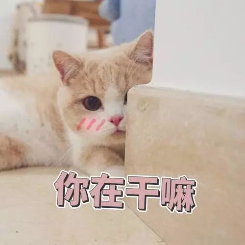 c257f52089054a84a5a195c9ea7587ef.jpeg