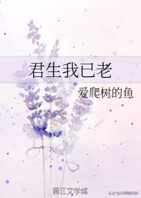 cb076dd9120c4cd79ef15f96c8cc7972.jpeg