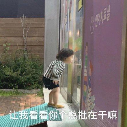 爆笑动图段子：打字聊不好吗，非得老娘开口