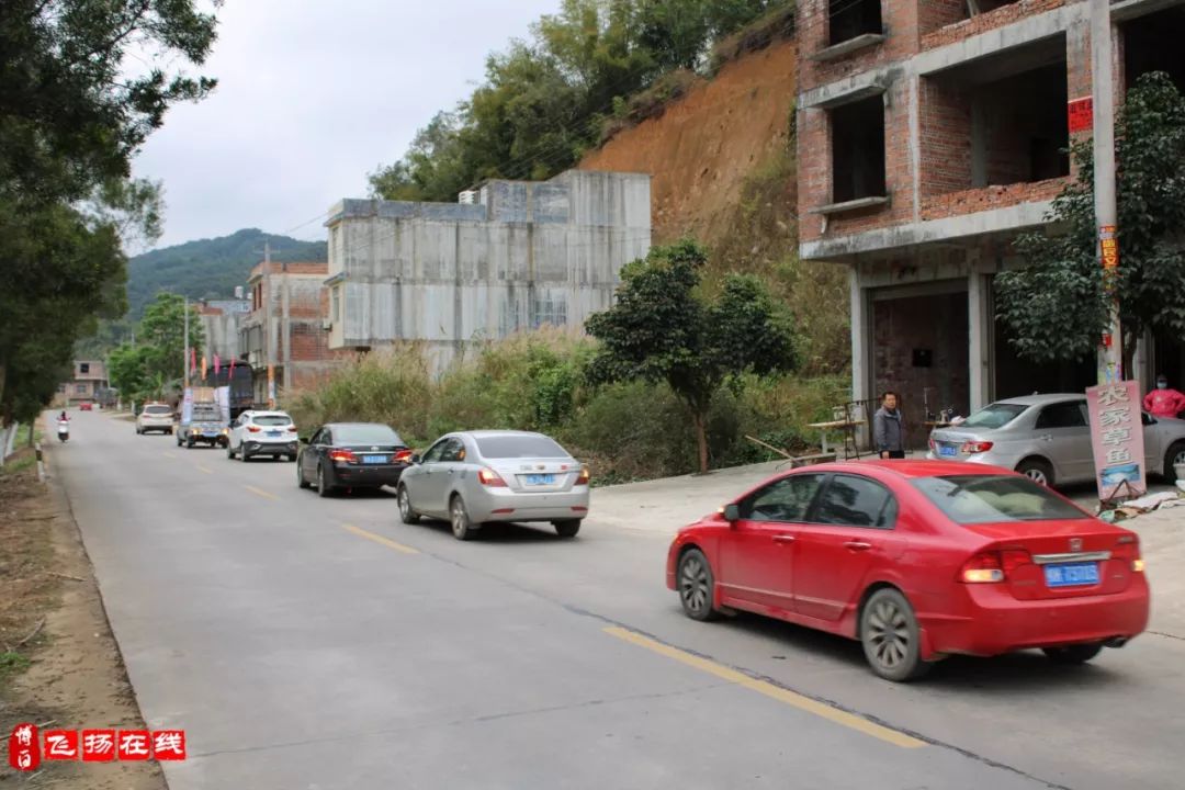 博白云飞大地那林镇的逆行者对这土地爱得深沉所以甘愿