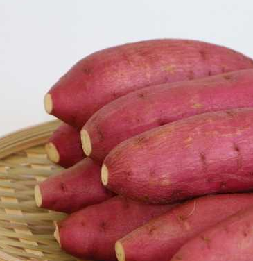 食物进食后多久排出 d75bd4f0dbee4a9088f6fa9ccd501132.png