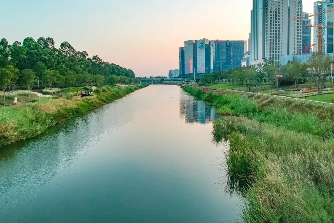 深圳人口居住信息_深圳人口年龄结构比例(2)