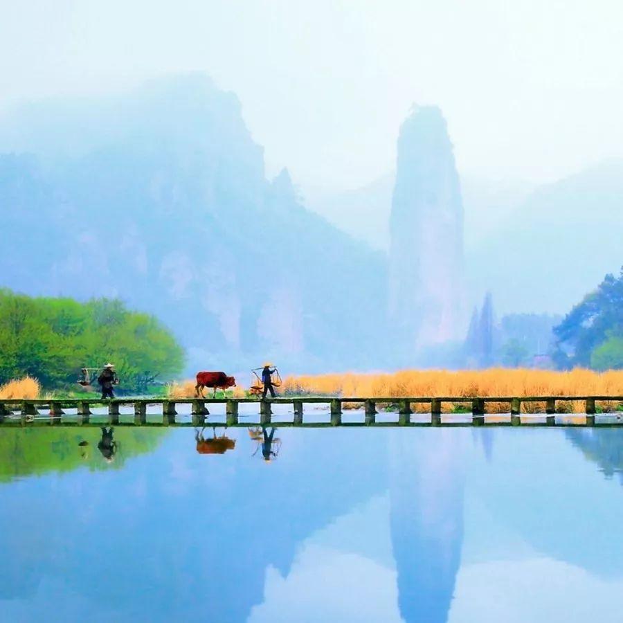 江南早春 李美法 摄