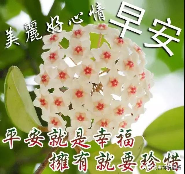 2020早安祝福问候语,祝你每天有个好心情