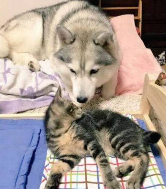 怎么让自己快速哭出来呢 ebaf9579c9fa45519914fca24ad7ba03.jpeg