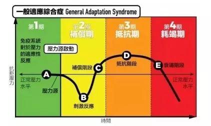 桂子山夜话丨疫情进入“拉力赛”，在家上学这样做