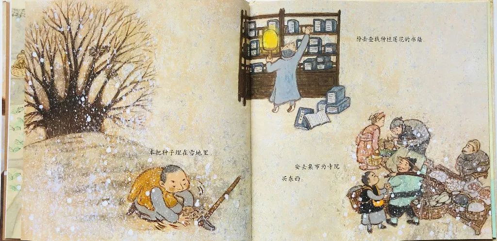绘本阅读安的种子