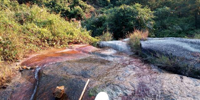 惠州稔山森林公园新建了一条登山道,带你们去看看