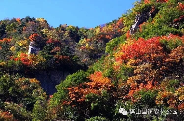 棋山国家森林公园:打好疫情阻击战 绿水青山尽开颜