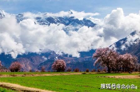 日照有多少人口_山东有哪些好酒 本地人都未必知道,山东十七地市白酒最全名(3)