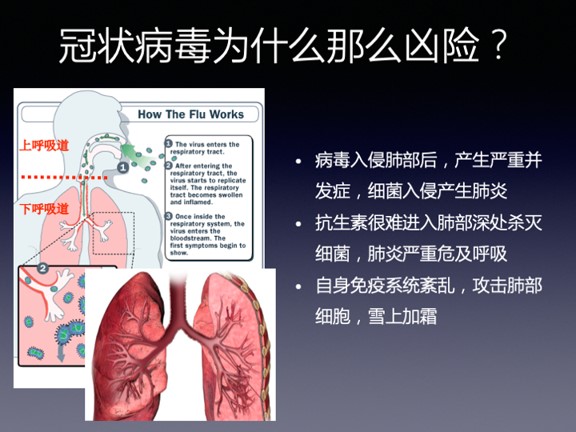 为什么会得慢性胰腺炎五大症状 3a3c95c7883843a4971b4362f0052c51.jpeg