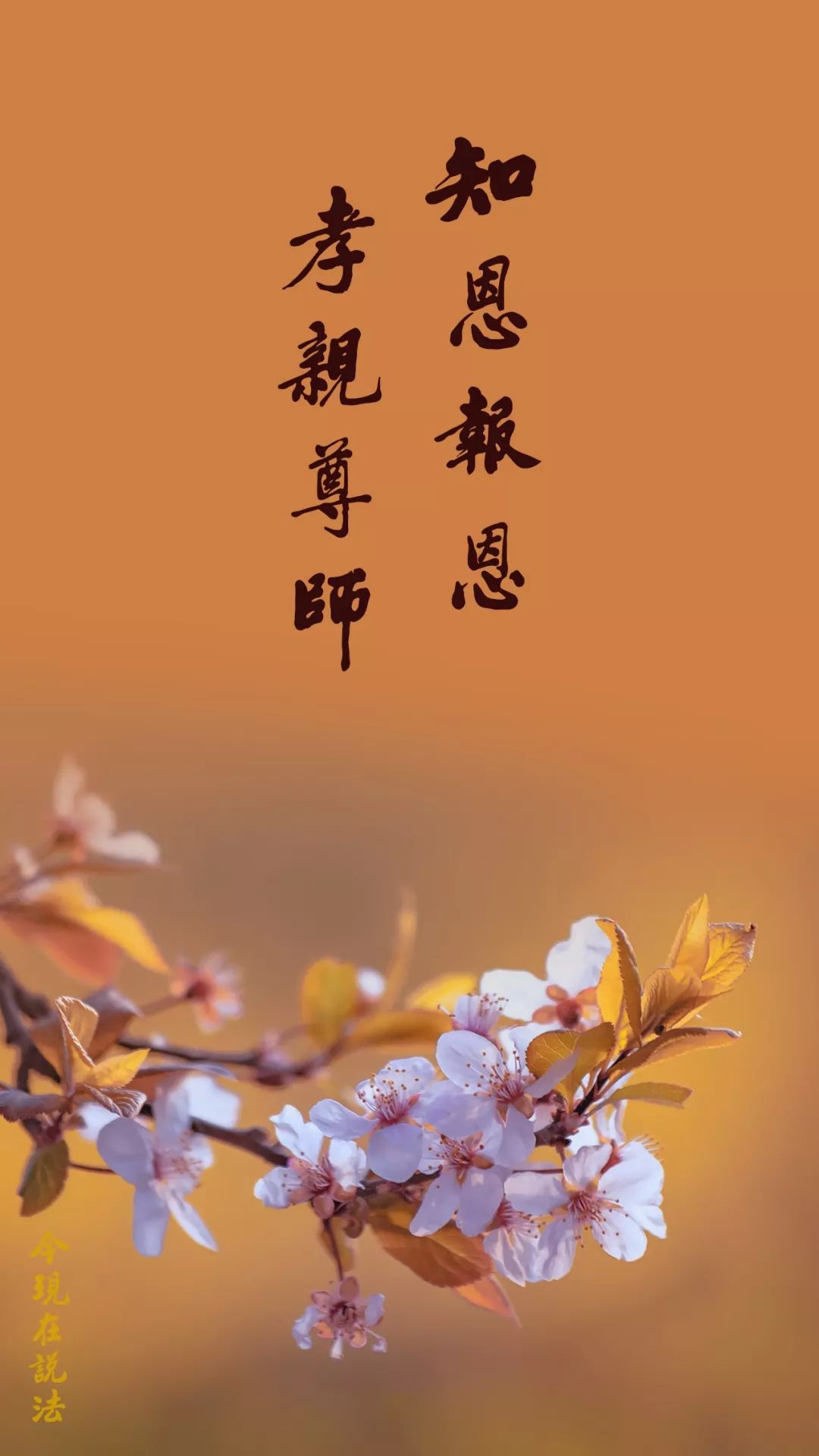 孝亲尊师是教育的根 | 听师父说