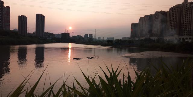 惠州大亚湾河滩公园实拍,你们来过这里吗?