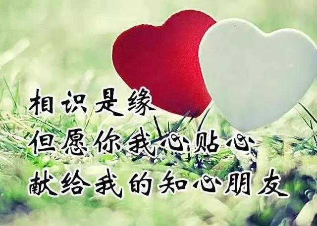 627c907e23fe4a5bb86325a1e8bb87b8.JPG