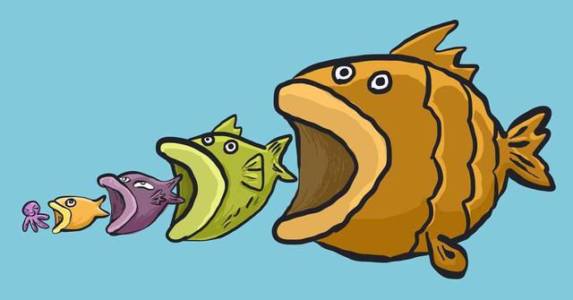 灯笼鱼为什么叫做灯笼鱼 65b475b1b1a54810866694a6d8fe11b6.jpeg