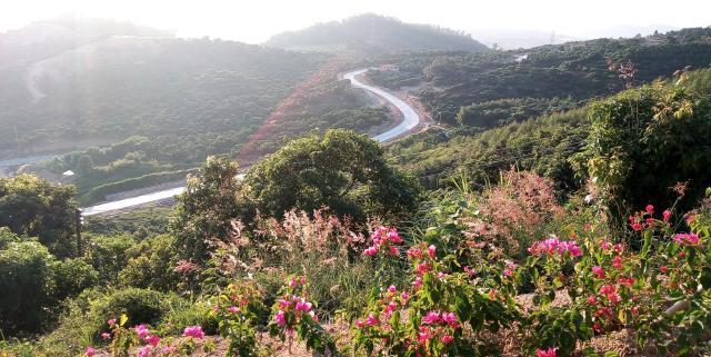 惠州稔山森林公园新建了一条登山道,带你们去看看