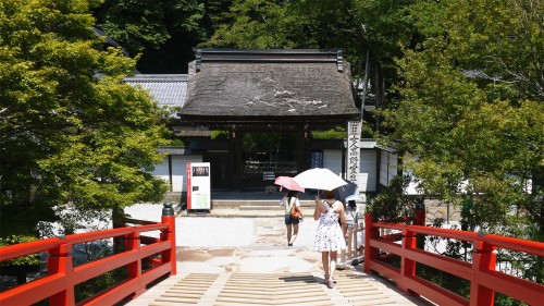 室生寺・女人高野_手机搜狐网